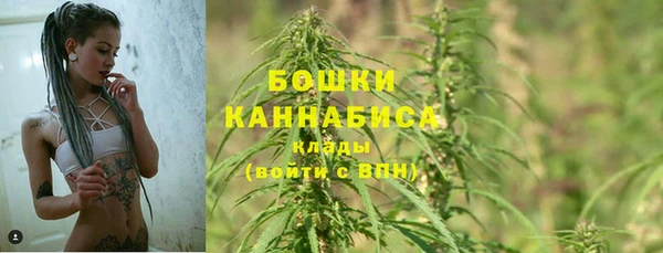 мяу мяу мука Алзамай