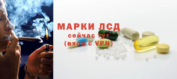 хмурый Абаза